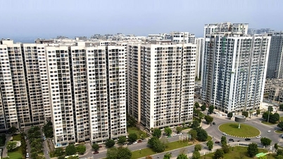 Rental income from real estate under 1 billion VND/year is tax-exempt, but revenue must still be reported.