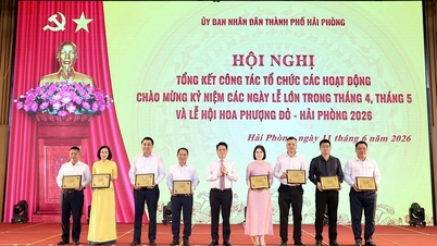 Lễ hội Hoa Phượng Đỏ: Từ sự kiện thường niên đến thương hiệu văn hóa của Hải Phòng