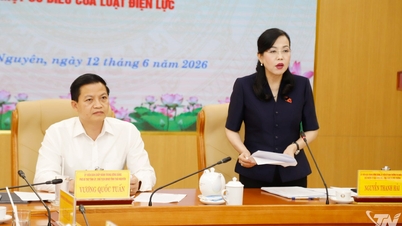 Thai Nguyen föreslår att man förbättrar mekanismen för att utveckla el och förnybar energi.