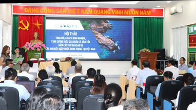 Meningkatkan keberkesanan pengurusan dan pemuliharaan tapak Ramsar di Vietnam.