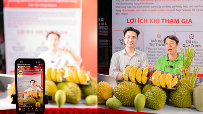 Shopee đồng hành cùng nhà bán Đồng Tháp tìm hướng đi tăng trưởng dài hạn trên TMĐT