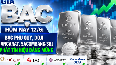 Harga perak hari ini, 12 Juni: Phu Quy Silver, Doji, Ancarat, dan Sacombank-SBJ menunjukkan tanda-tanda yang menjanjikan.