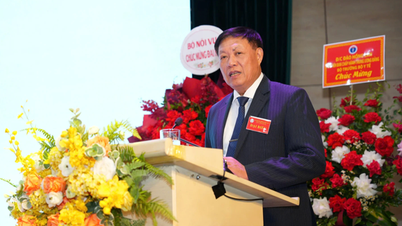 Wakil Menteri Kesehatan Do Xuan Tuyen juga menjabat sebagai Ketua Asosiasi Keluarga Berencana Vietnam.