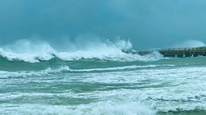 Lam Dong province proactively responds to low-pressure system at sea.