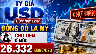 Tỷ giá USD hôm nay 12/6: Đồng Đô la Mỹ chợ đen ở mức 26.332 đồng/USD
