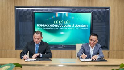 Flamingo Forest City Dong Anh firma un acuerdo de cooperación estratégica para establecer estándares de vida saludables en el corazón de la ciudad.