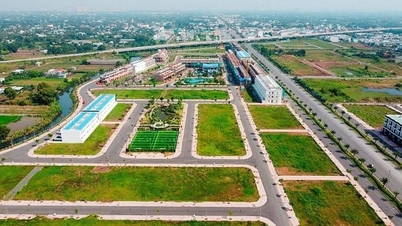 Dữ liệu đất đai là cơ sở quan trọng trong định giá đất