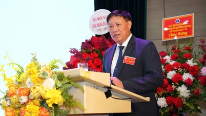 Wakil Menteri Do Xuan Tuyen terpilih sebagai Ketua Asosiasi Keluarga Berencana Vietnam untuk periode ketujuh.