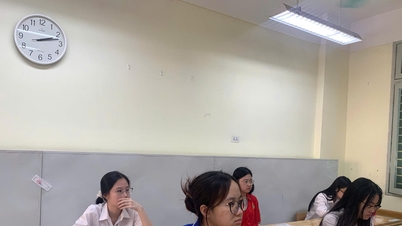 Ujian biologi untuk ujian kelulusan SMA tahun 2026: Grafik, diagram, dan data menjadi "kunci" untuk mengklasifikasikan kandidat.