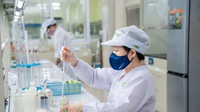 Menciptakan nutrisi sehat dari bahan dasar kedelai selama hampir tiga dekade.