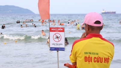 Os drones podem mudar a forma como as operações de resgate e a gestão urbana são realizadas em Da Nang.