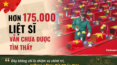 Den 500 dage og nat lange kampagne: Mere end 175.000 martyrer forbliver uopdagede.