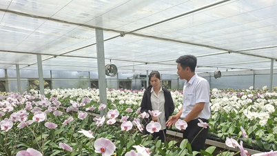 ธนาคารเพื่อการเกษตร สาขาลำดง 2 สนับสนุนภาคการเกษตรและเกษตรกร