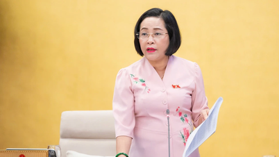 Bổ nhiệm nhân sự giữ chức Trợ lý Phó Chủ tịch Quốc hội