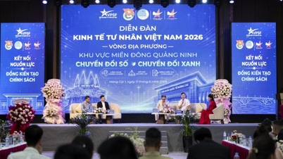Vietnami Magángazdasági Fórum 2026 - Helyi forduló, Kelet-Quảng Ninh tartomány