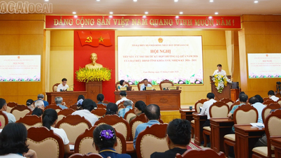 La delegación nº 09 del Consejo Popular Provincial de Lao Cai se reúne con los votantes.