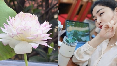 Miss Vietnam Nguyen Thi Huyen ha un talento innato per coltivare fiori di loto nel suo giardino.