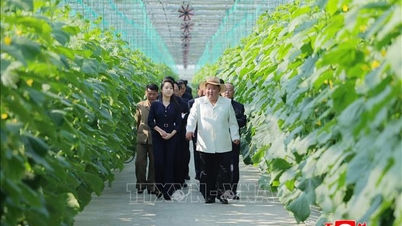 Trồng rau ở Triều Tiên: Nhà lãnh đạo Triều Tiên Kim Jong Un thị sát khu phức hợp nhà kính kiểu mẫu trồng rau quả CNC