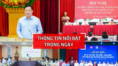 Nghe An: Højdepunkter fra 12. juni