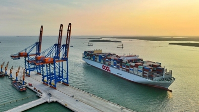 Pelabuhan Cai Mep dan Hai Phong bakal menjadi antara 20 teratas di dunia dari segi kecekapan operasi menjelang 2025.