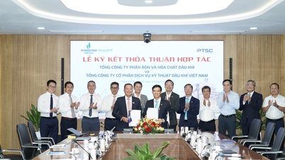 PVFCCo - Phu My และ PTSC ลงนามในข้อตกลงความร่วมมือเชิงกลยุทธ์ เสริมสร้างความเชื่อมโยงภายในระบบนิเวศของปิโตรเวียตนัม
