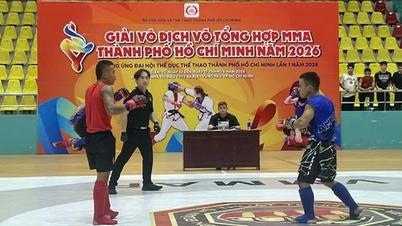 Upacara Pembukaan Kejuaraan Seni Bela Diri Campuran (MMA) Kota Ho Chi Minh 2026