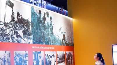 Traçando 80 anos de segurança popular através de artefatos históricos