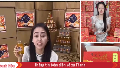 អាជ្ញាធរបានរុះរើបណ្តាញទូទាំងប្រទេសដែលផលិត និងលក់ពាងសំបុកបក្សីក្លែងក្លាយ។