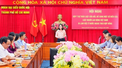 Commentaires sur la loi relative aux travailleurs vietnamiens travaillant à l'étranger sous contrat : Amélioration du cadre juridique pour protéger les droits des travailleurs et des entreprises.