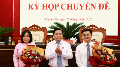 Khanh Hoa establishes 4 more wards to become centrally-governed cities.