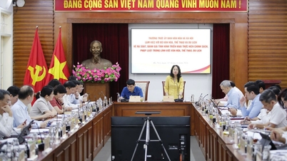 문화, 정보, 스포츠 및 관광 분야의 정책과 법률을 지속적으로 검토하고 개선합니다.