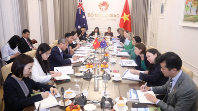 2. dialog mellem højtstående embedsmænd i Vietnam og Australien