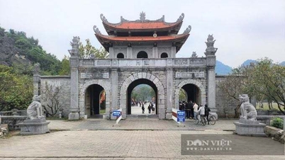 Gros plan sur le trésor national, l'ensemble de la Garde impériale vietnamienne, au temple du roi Dinh Tien Hoang.