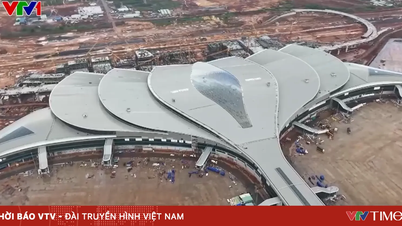 Cảng hàng không quốc tế Long Thành thiếu hụt lao động