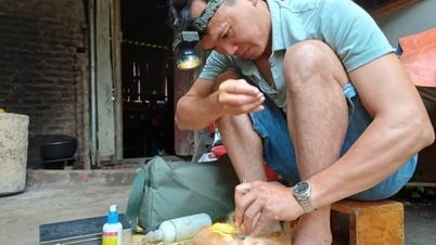 Vídeo: Close-up da "tecnologia" que transforma galos jovens em galinhas "eunucos" em Thai Nguyen.
