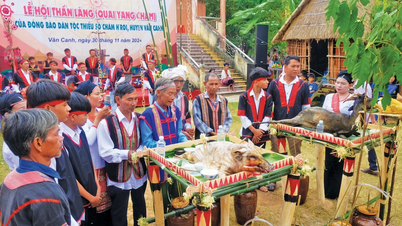 Gia Lai hướng tới ngày hội văn hóa Chăm