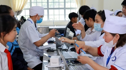 Mengoperasikan sistem digital untuk memantau pemeriksaan kesehatan nasional.