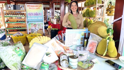 Pratos deliciosos feitos com frutas, especialidades que atraem turistas durante a época de maturação das frutas.