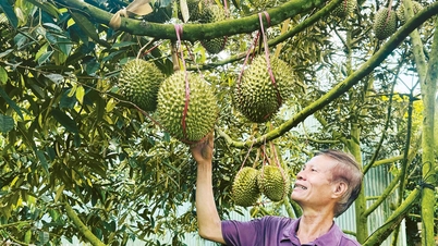 Megoldások a mezőgazdasági ágazat exportértékének növelésére.