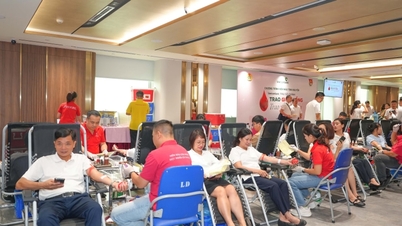 "Trao giọt hồng - Trao yêu thương" 2026: Tuổi trẻ Vietcombank lan tỏa nghĩa cử nhân ái