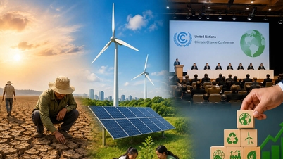 Der Klimawandel wird immer komplexer: Vietnam reagiert proaktiv und mit großer Entschlossenheit.