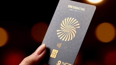 Sun Group activeert zijn speciale Sun Signature-lidmaatschapsprogramma, waarmee een reeks ecosysteemvoordelen in één account worden samengebracht.