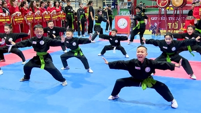 Mais de 380 atletas competiram no Campeonato Aberto de Clubes de Artes Marciais Tradicionais de 2026.
