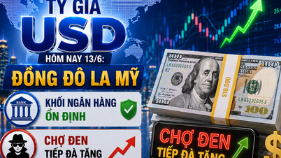 Tỷ giá USD hôm nay 13/6: Đồng Đô la Mỹ khối ngân hàng ổn định, chợ đen tiếp đà tăng