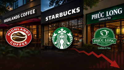 Highlands, Starbucks og Phuc Long falder i placering på mad- og drikkevarehitlisterne.