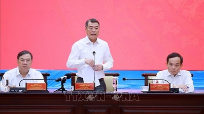 Pääministeri työskentelee Ho Chi Minh Cityn puoluekomitean pysyvän komitean kanssa.