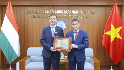 Pingat peringatan "Untuk Keamanan dan Persahabatan Antara Bangsa-Bangsa" telah dianugerahkan kepada Duta Besar Hungary ke Vietnam.
