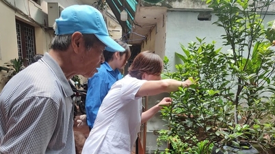 Phường Văn Miếu - Quốc Tử Giám: Tăng cường các biện pháp chủ động phòng, chống sốt xuất huyết