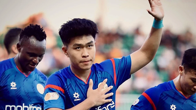 The special case of Pham Ly Duc