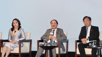 Gia Lai luôn chào đón nhà đầu tư, cùng phát triển bền vững